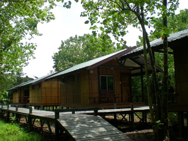 Agamid Chalet, Nature Lodge Kinabatangan. Civer Cabins are much smaller.